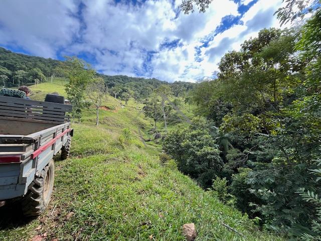Chácara à venda, GARIBALDI, JARAGUA DO SUL - SC