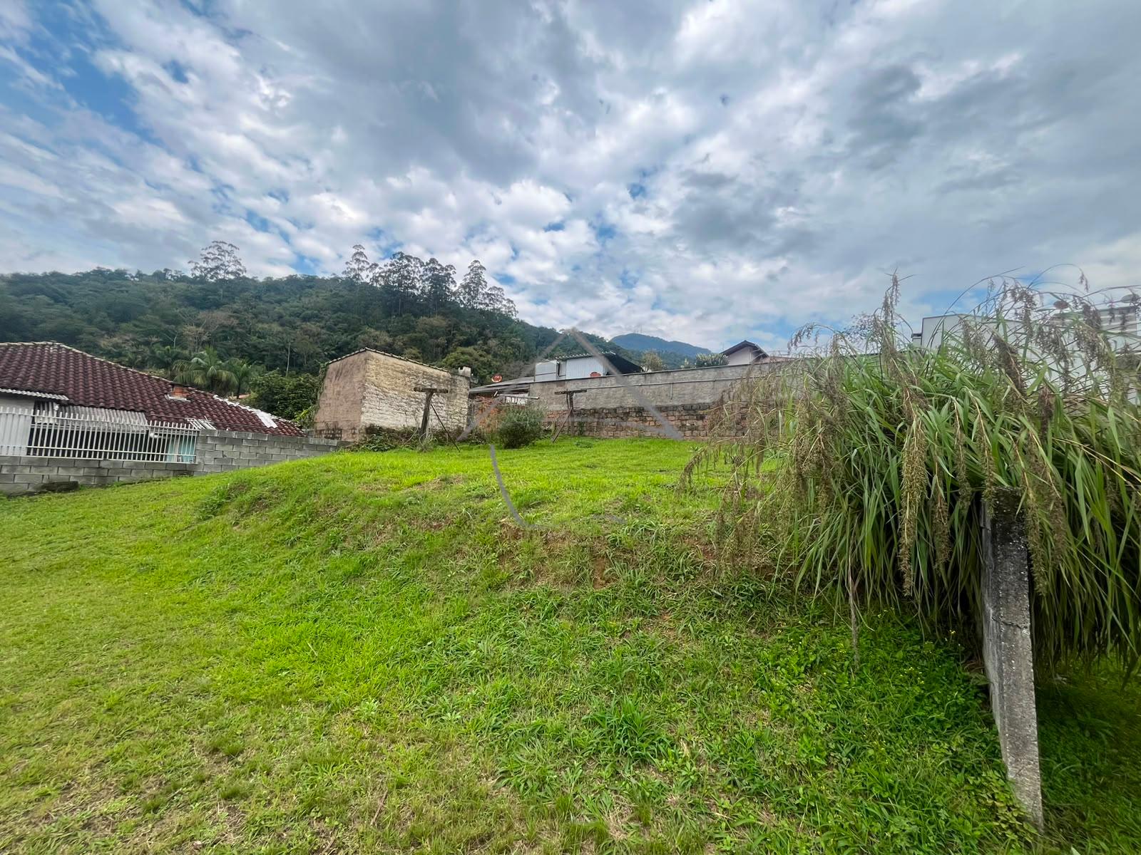 Terreno grande com 3 Casas à Venda - Ilha Da Figueira - Jaragu...