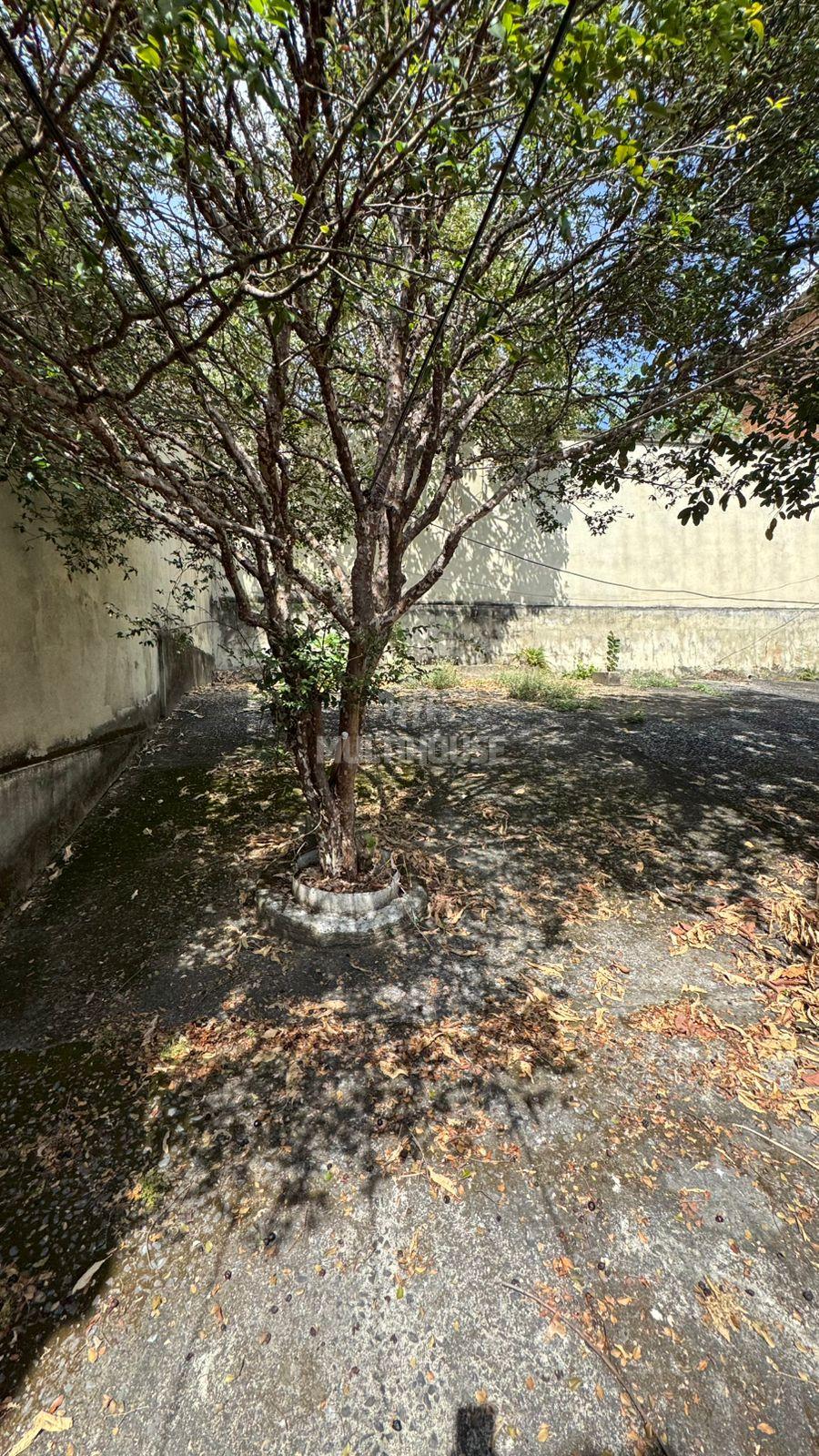 Casa, 4 quartos, 180 m² - Foto 33