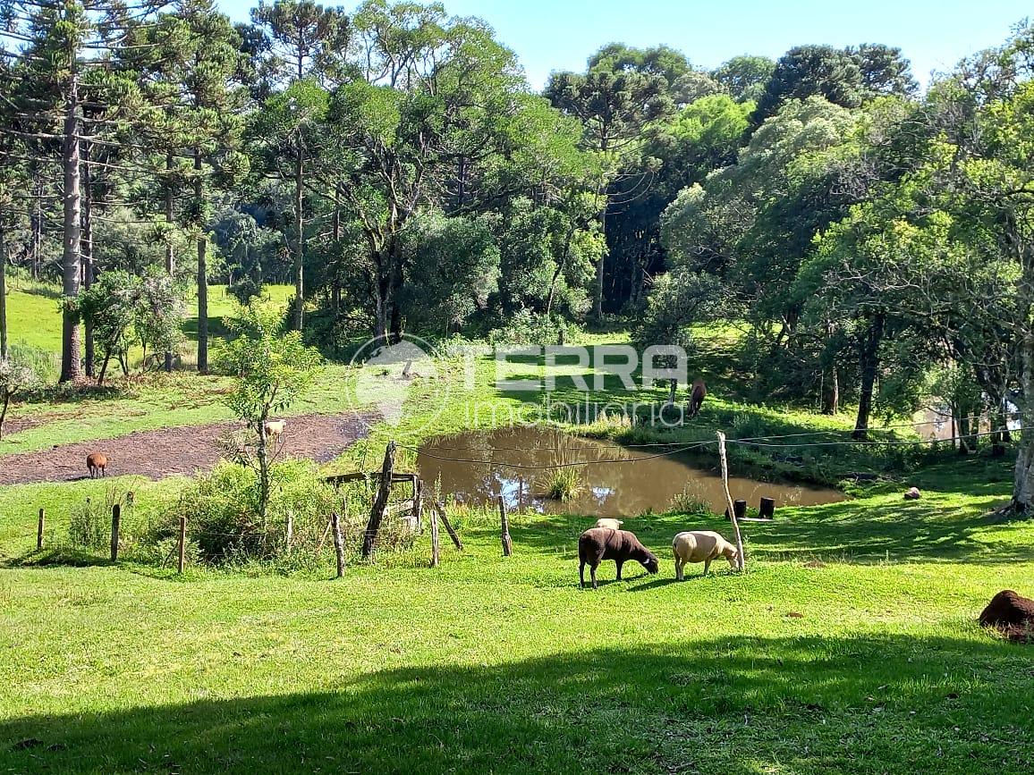 CHÁCARA COM 5 ALQUEIRES COM ÁREA DE  LAZER PROX DE GUARAPUAVA
