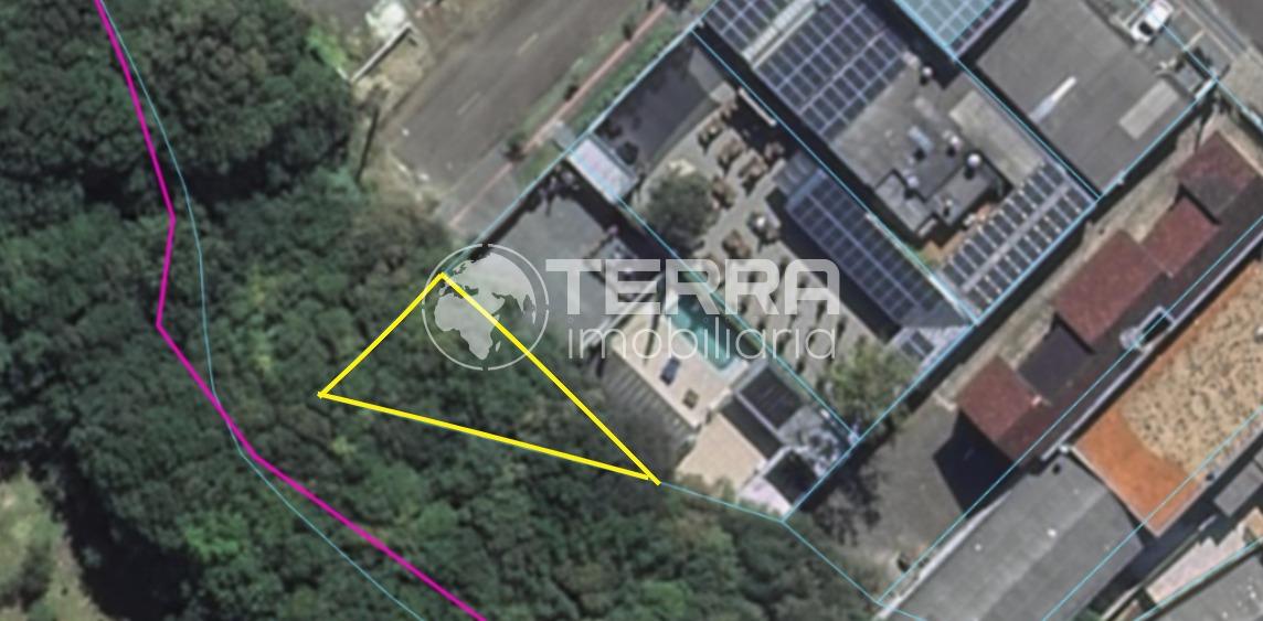 Lote, VILA CARLI, GUARAPUAVA - PR
