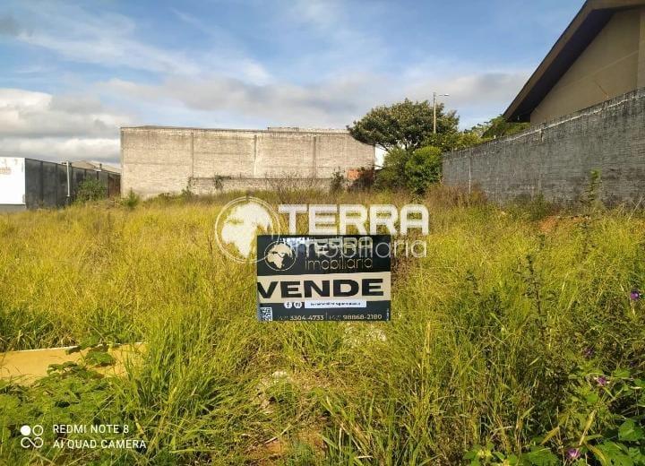 TERRENO A VENDA ALTO DA XV 12,50 47,50 M2