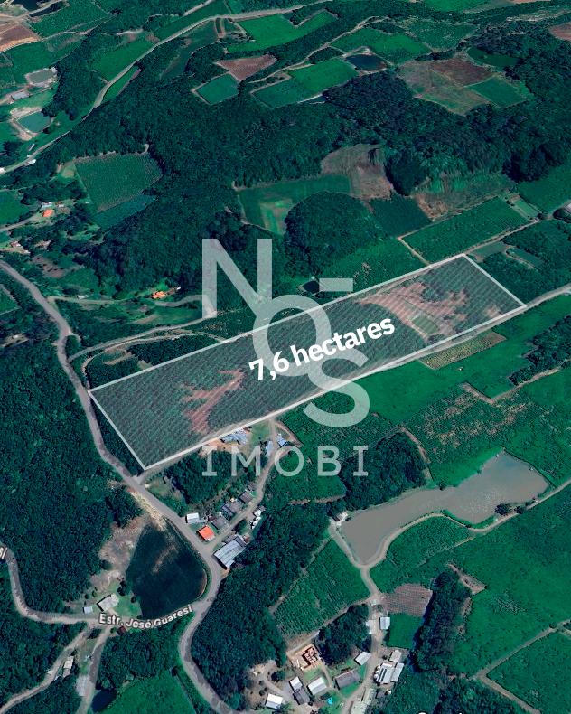Terras para plantio no Travessão 7 de Setembro em Flores da Cunha