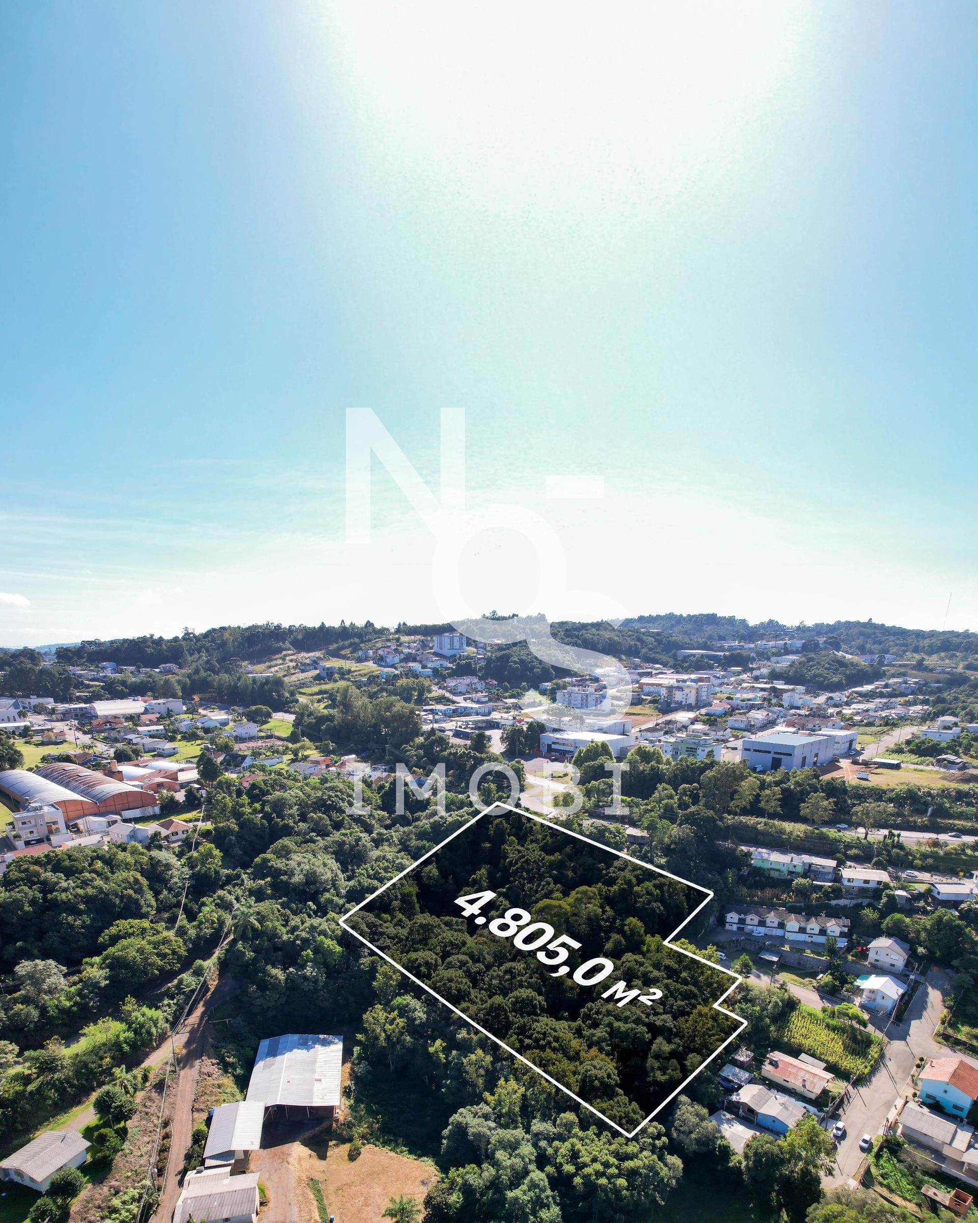 ?rea de Terra com 4.805 m2 em S?o Gotardo Flores da Cunha