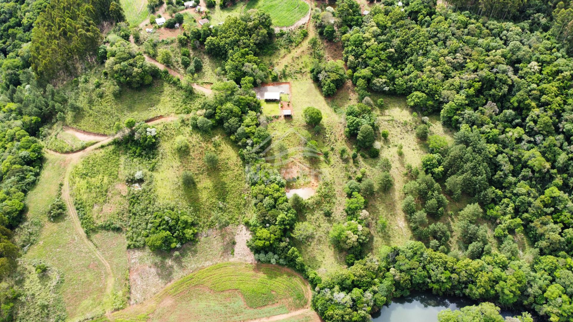Stio  venda,24668.00 m , REA RURAL, FRANCISCO BELTRAO - PR