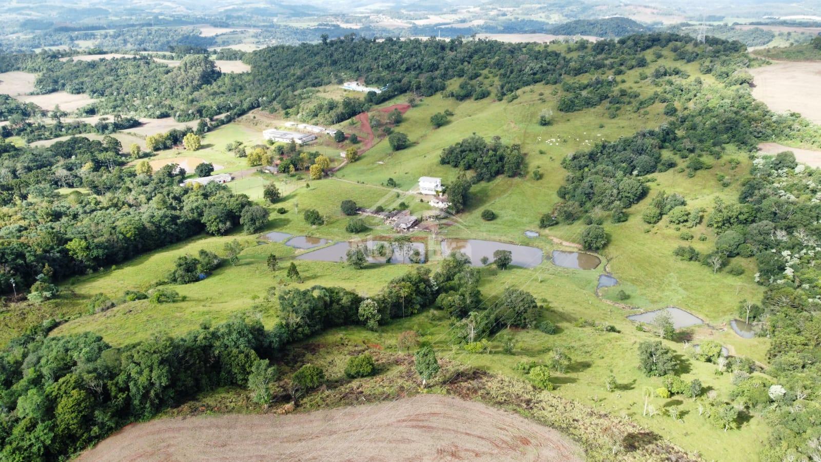 Vieira Imveis em Francisco Beltro PR