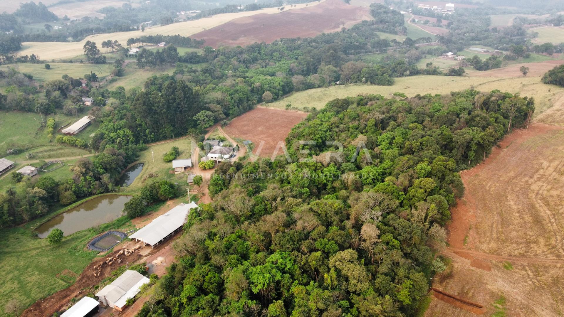 Vieira Imveis em Francisco Beltro PR