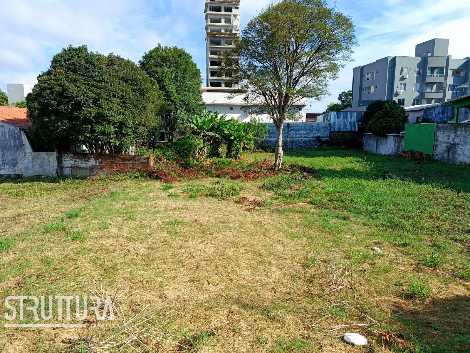 Terreno, VILA NOVA, FRANCISCO BELTRAO - PR