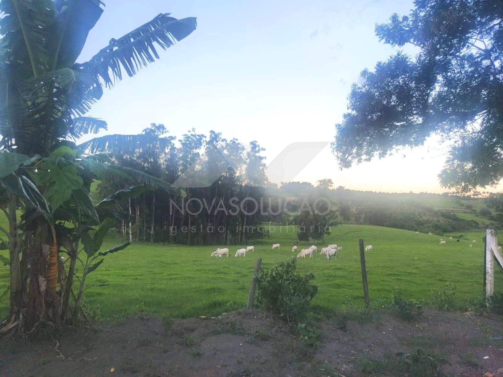 Casa com 3 dormitrios  venda, Bairro do Tatu, LIMEIRA - SP