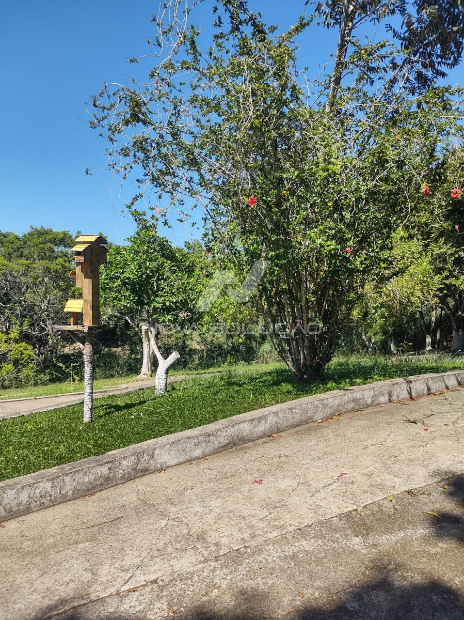 Chcara  venda, Anhembi, LIMEIRA - SP