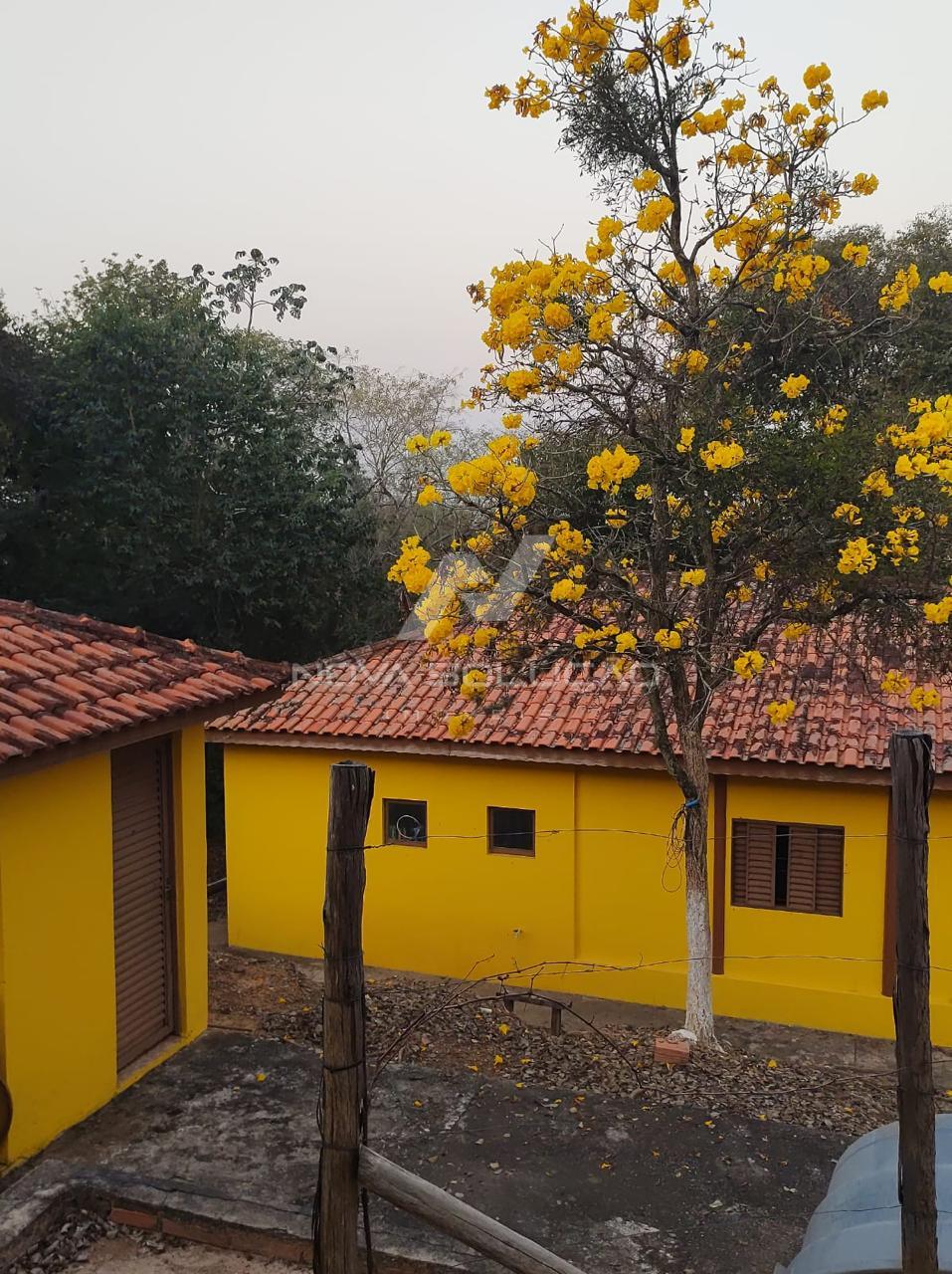 Chcara  venda, Anhembi, LIMEIRA - SP