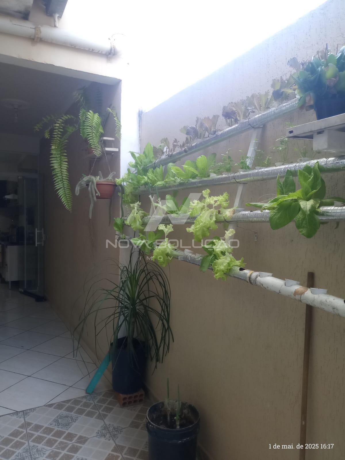 , LIMEIRA - SP