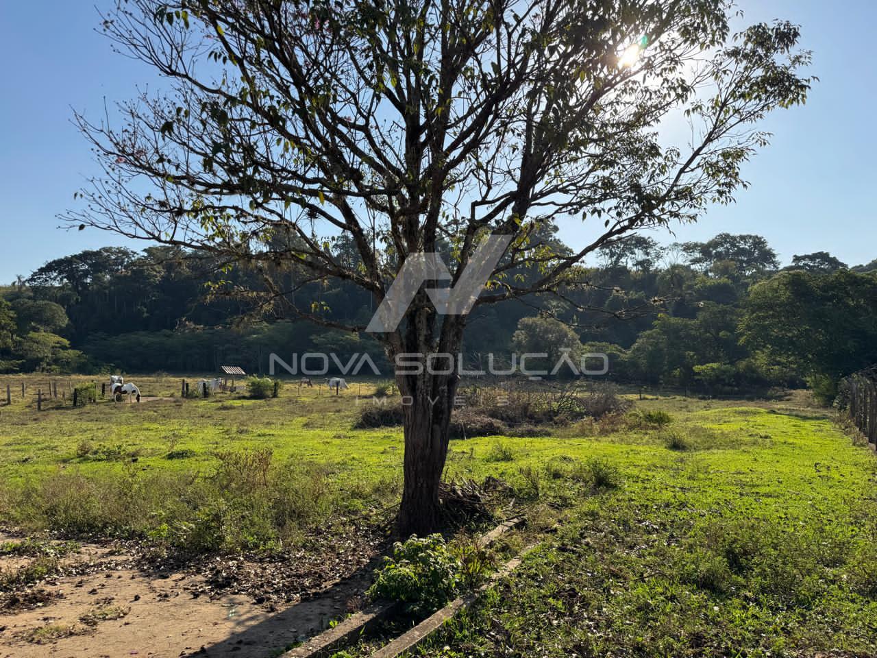 Stio  venda, Bairro dos Frades, LIMEIRA - SP