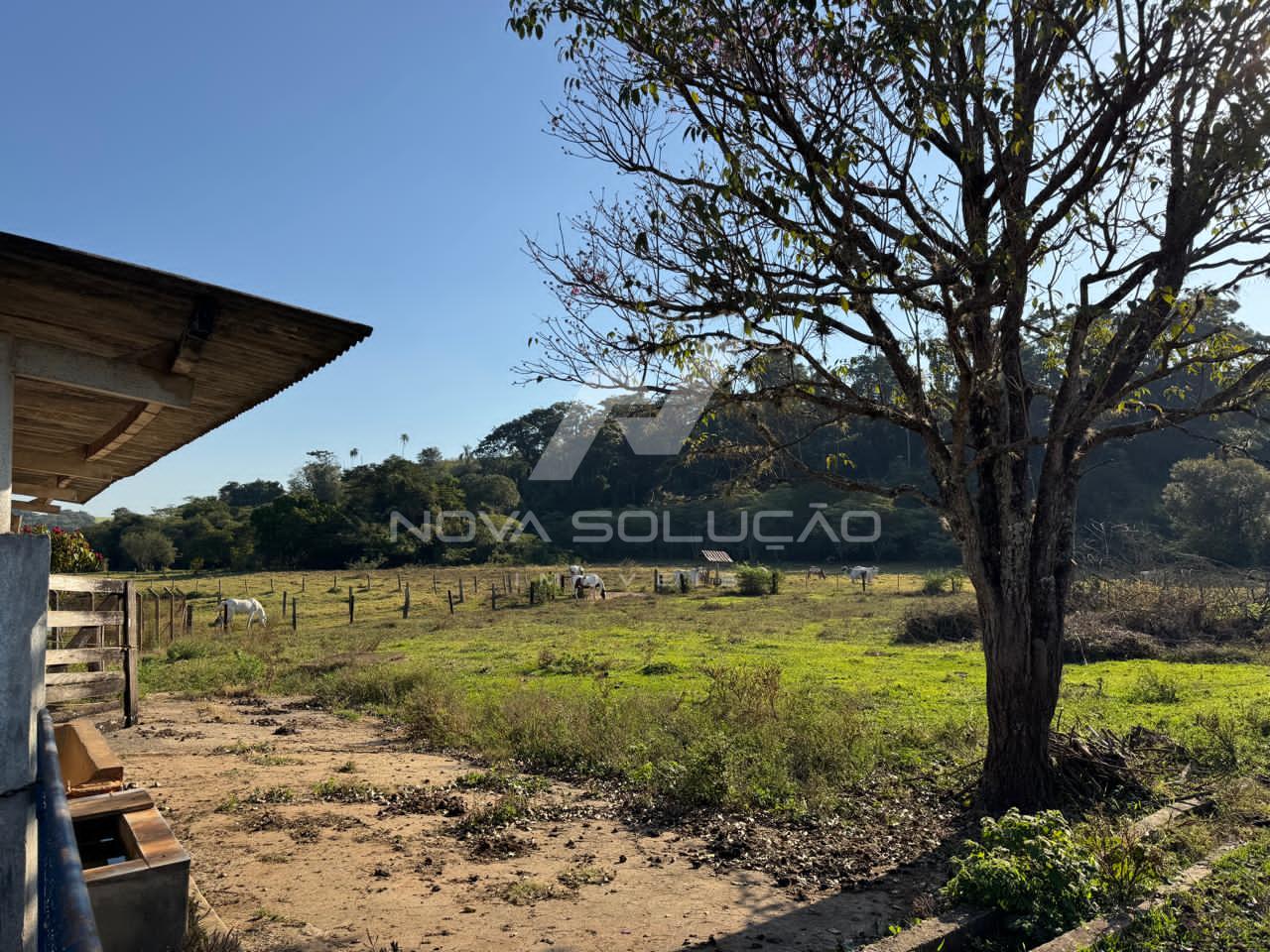 Stio  venda, Bairro dos Frades, LIMEIRA - SP