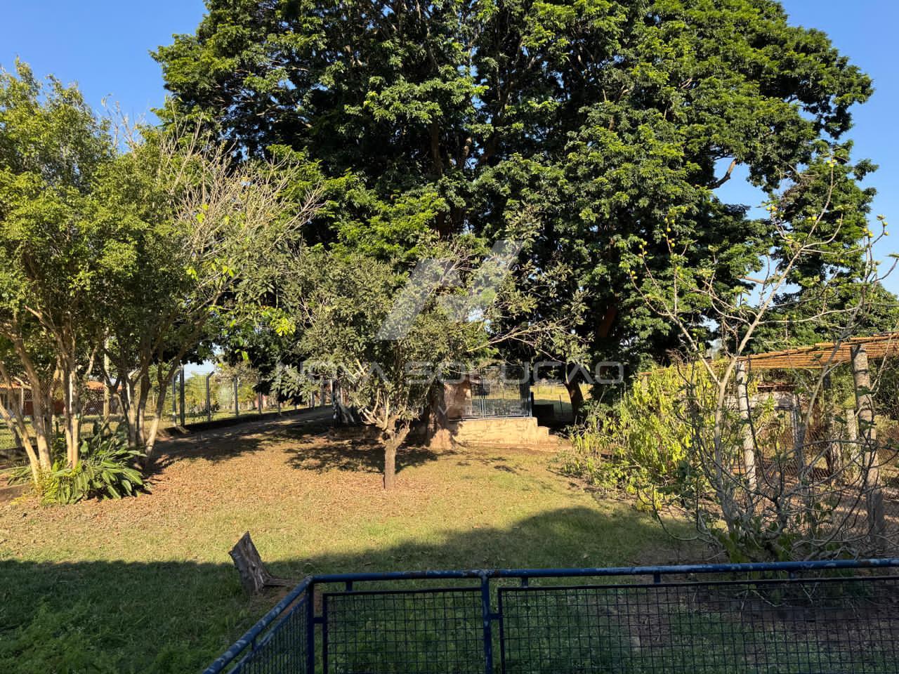 Stio  venda, Bairro dos Frades, LIMEIRA - SP