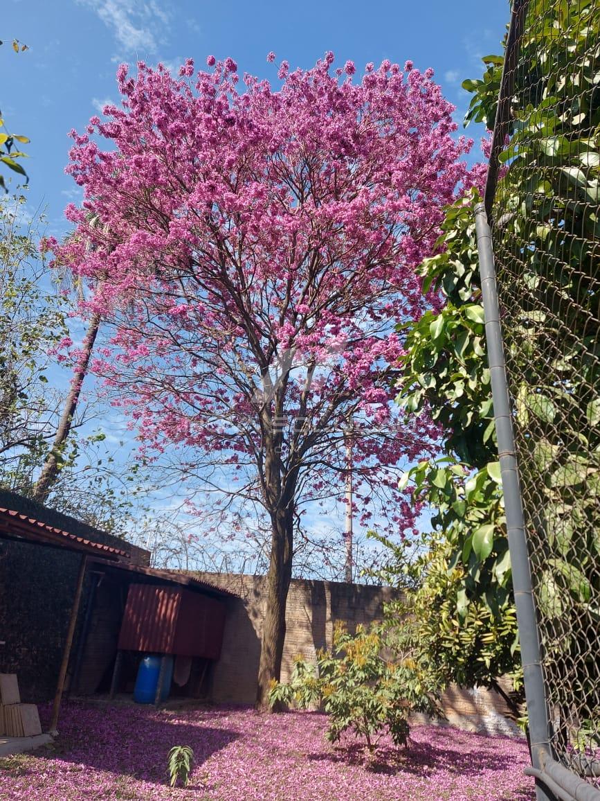 Ch�cara � venda, Condom�nio Areia Branca, LIMEIRA - SP