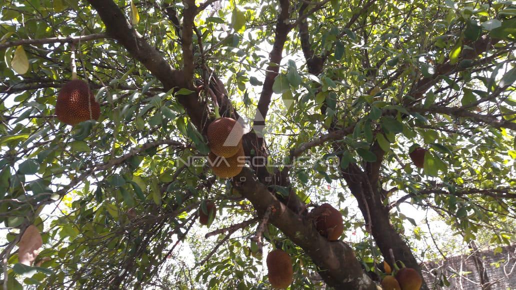 Ch�cara � venda, Condom�nio Areia Branca, LIMEIRA - SP