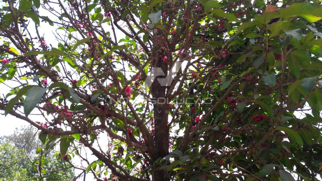 Ch�cara � venda, Condom�nio Areia Branca, LIMEIRA - SP