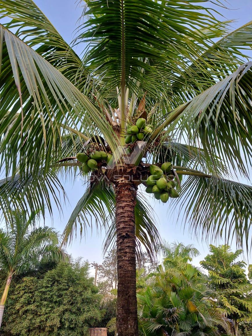 Ch�cara � venda, Condom�nio Areia Branca, LIMEIRA - SP