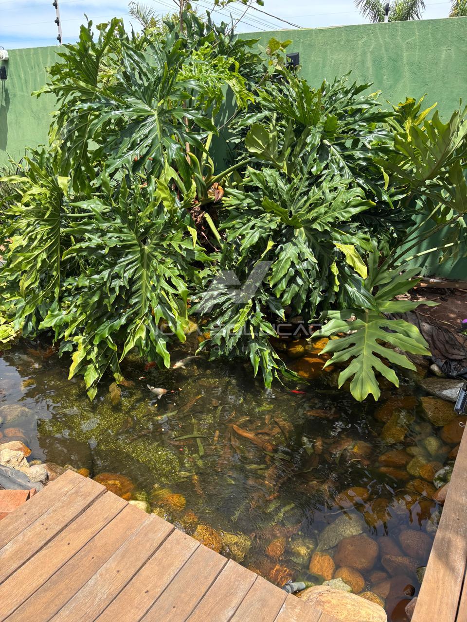 Chcara  venda, Bairro Do Pinhal, LIMEIRA - SP