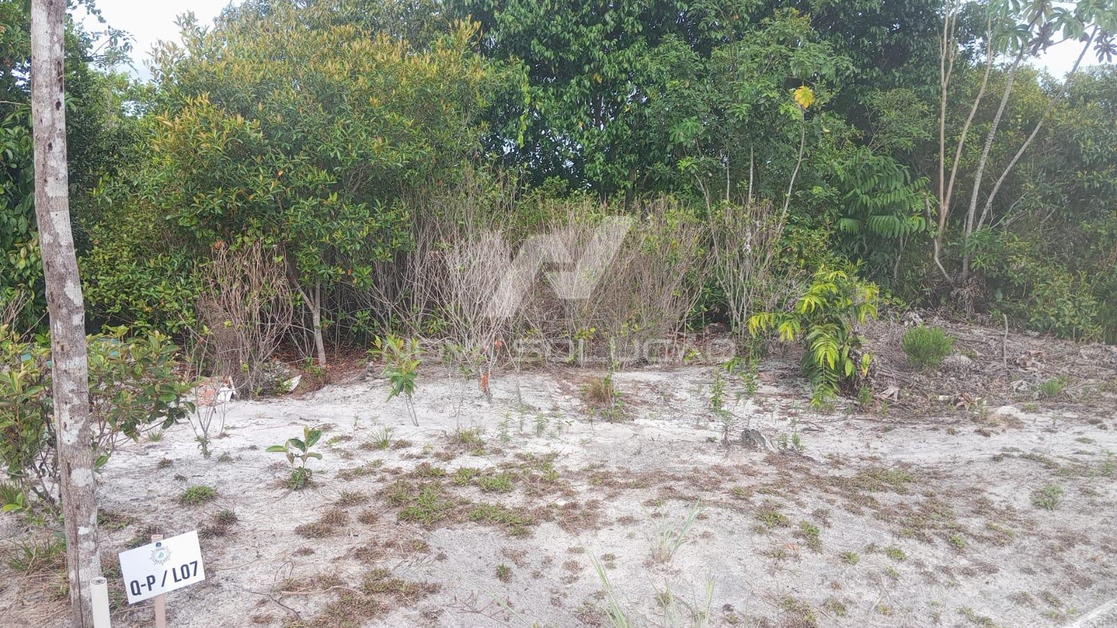 Terreno � venda, CONDOMINIO PONTAL DE JAGUARIPE, JAGUARIPE - BA