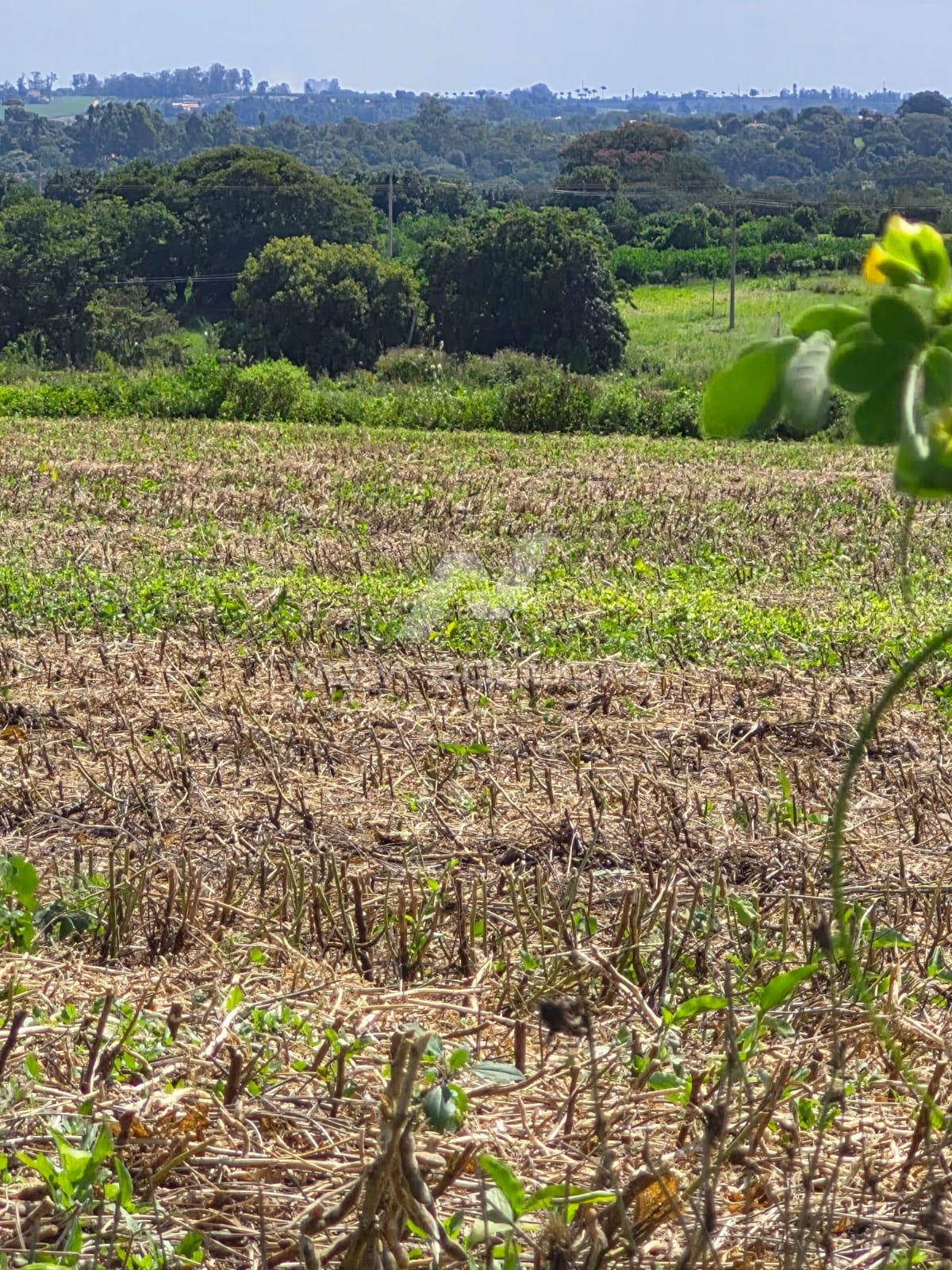 Terreno � venda, Bairro Dos Pires, LIMEIRA - SP