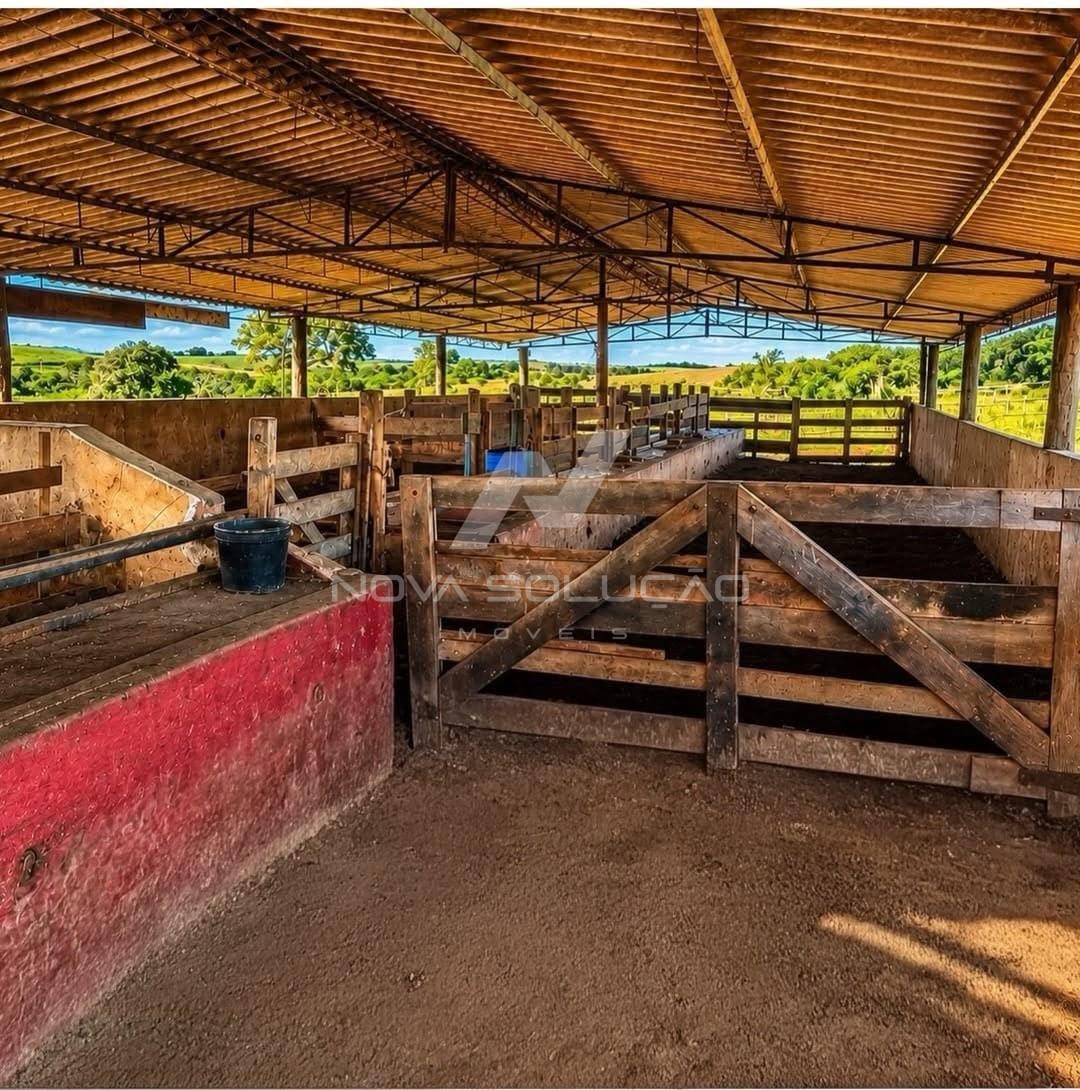 Fazenda � venda, RODOVIA MARECHAL RONDON, BAURU - SP