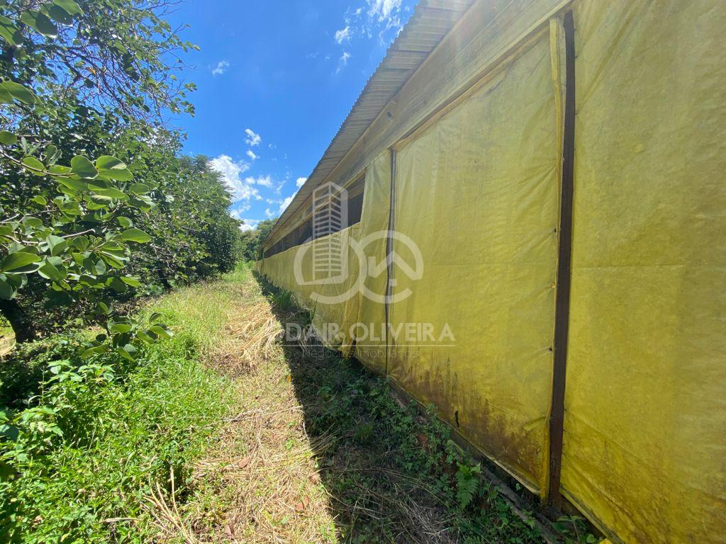 Odair Oliveira Negócios Imobiliários em Passos MG