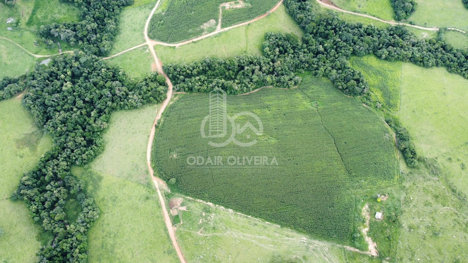 Odair Oliveira Negócios Imobiliários em Passos MG