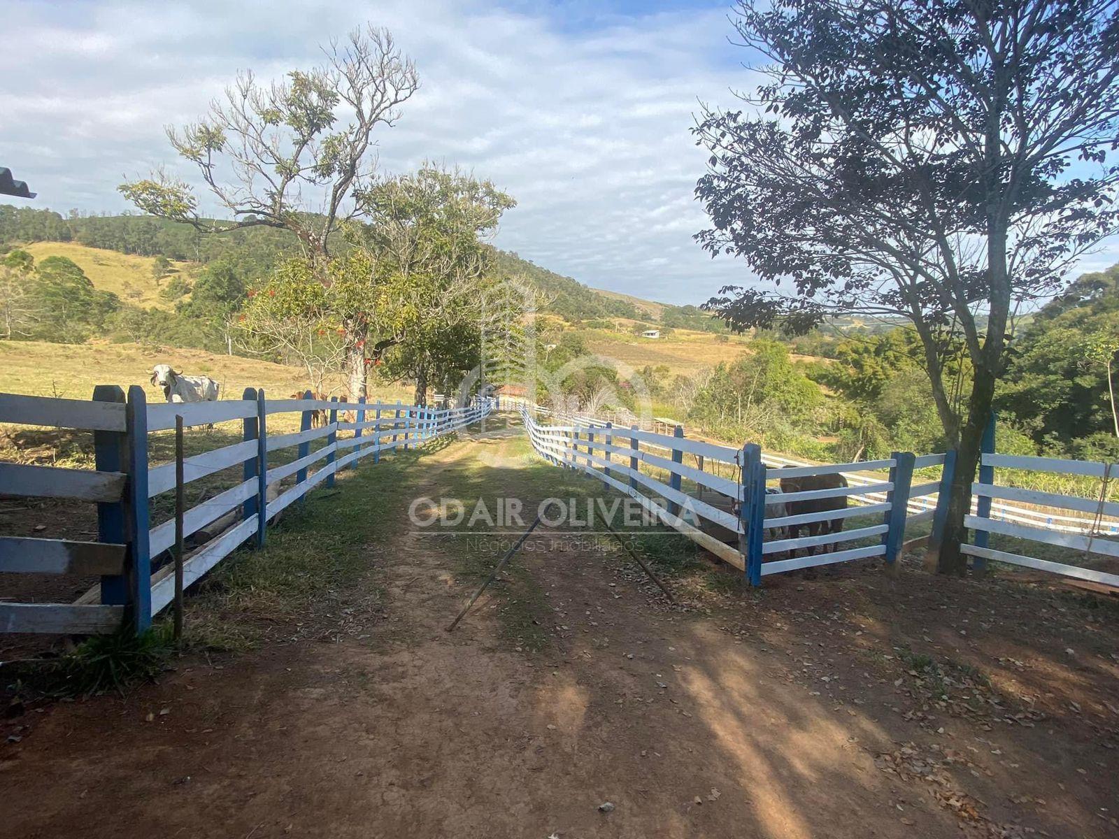 Odair Oliveira Negócios Imobiliários em Passos MG