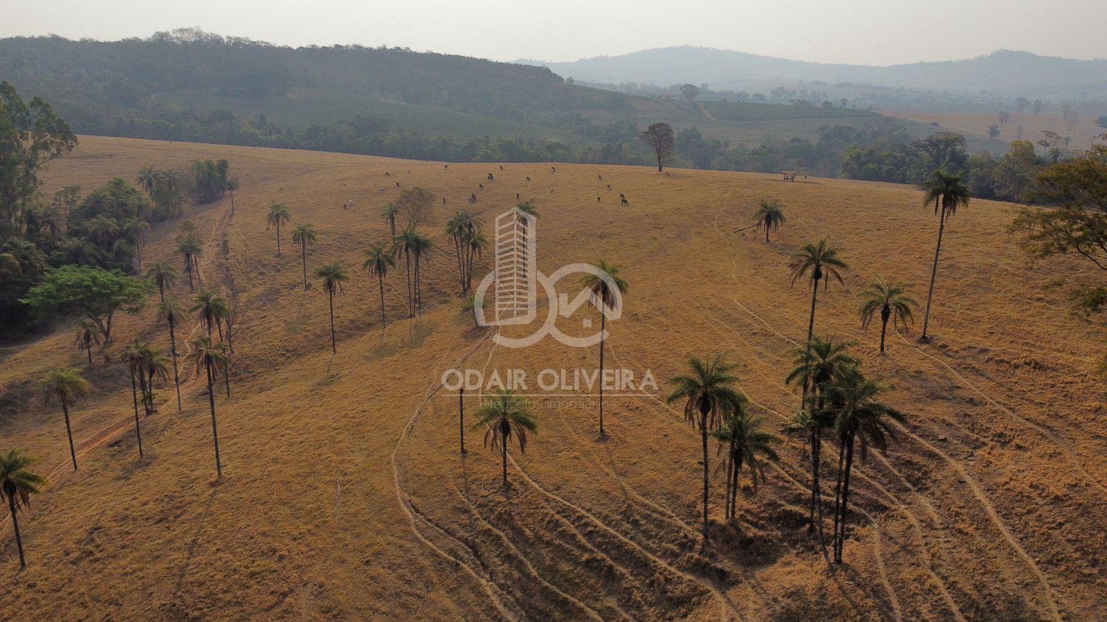 Odair Oliveira Negócios Imobiliários em Passos MG