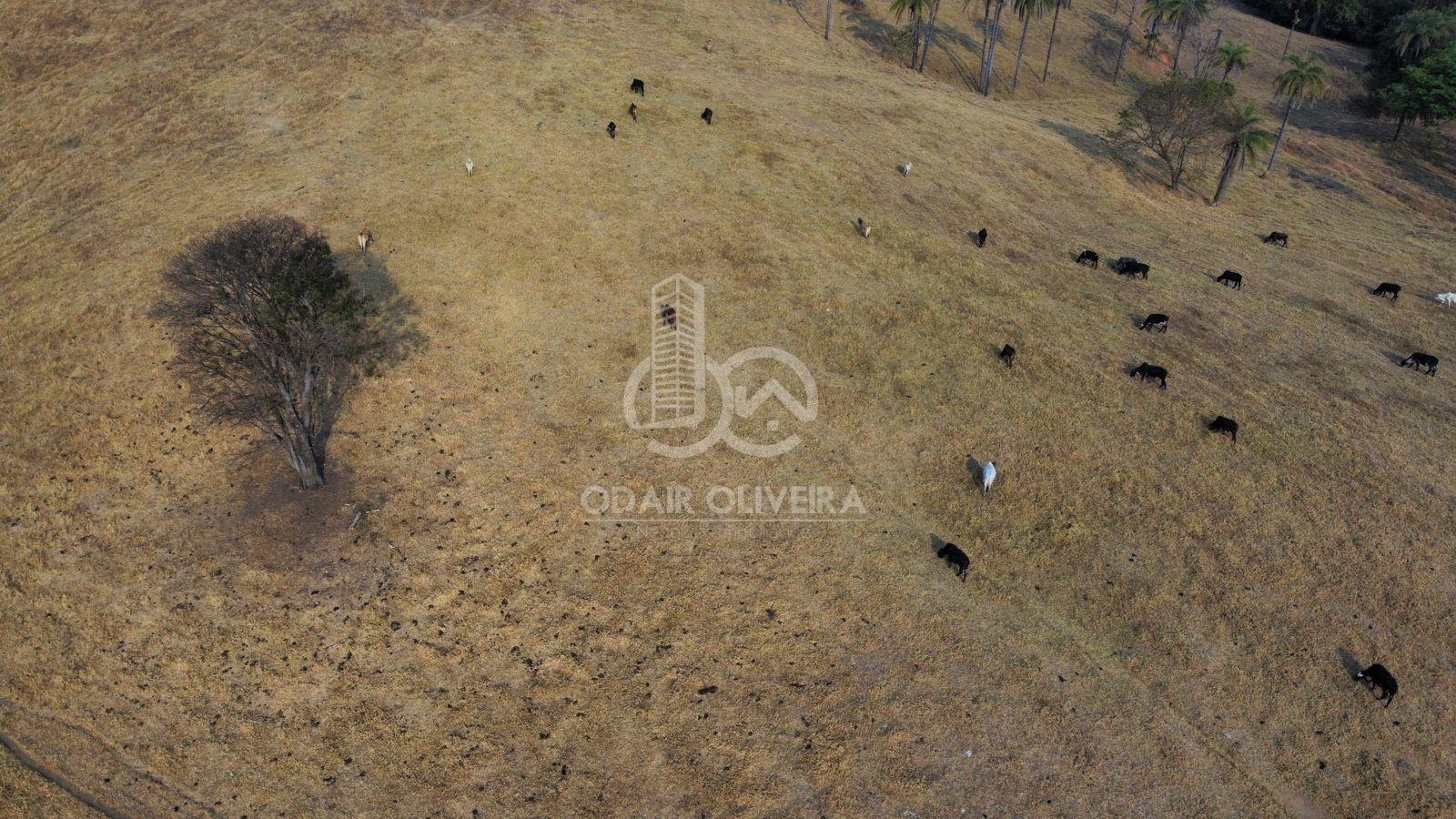 Odair Oliveira Negócios Imobiliários em Passos MG