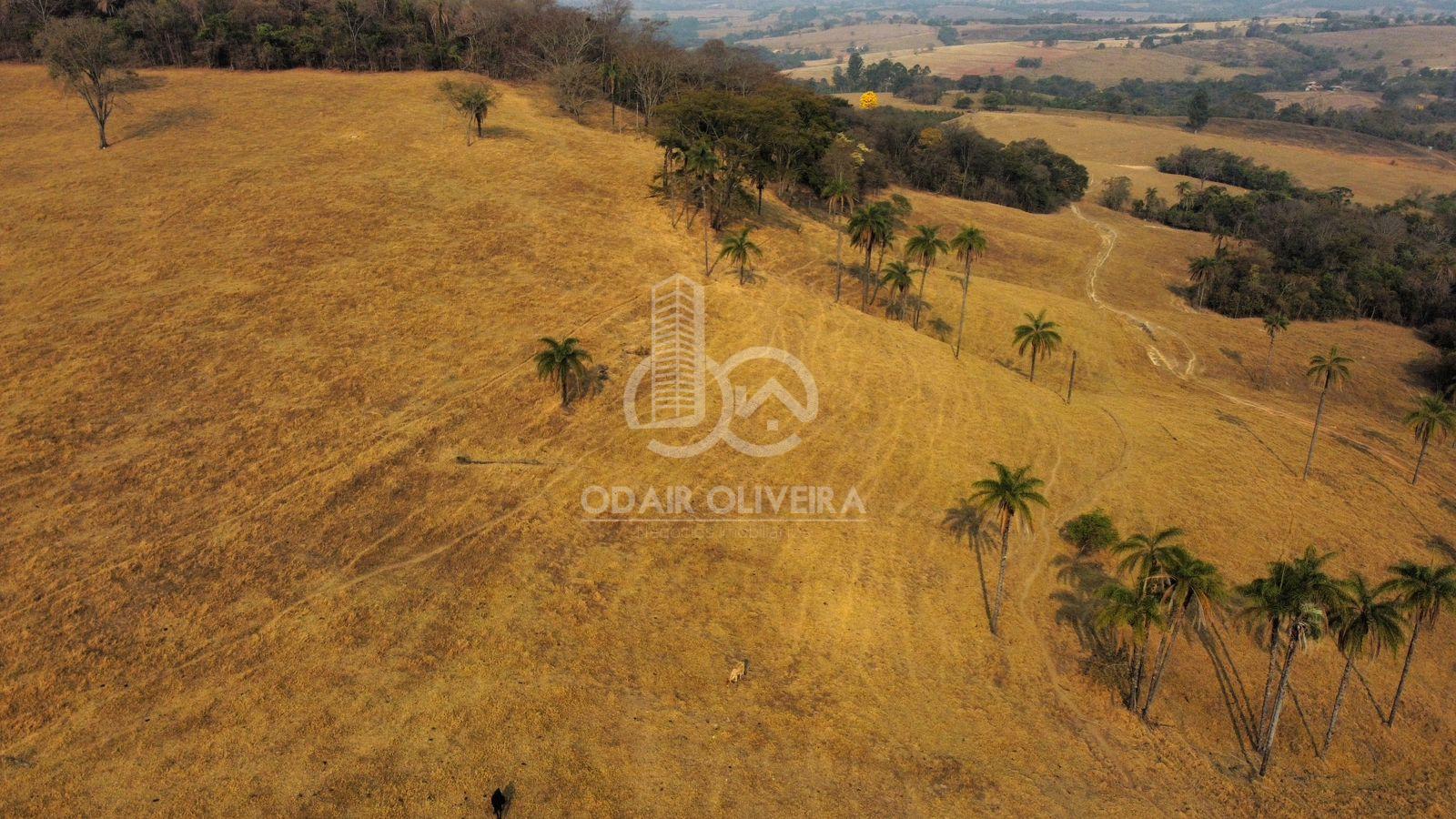 Odair Oliveira Negócios Imobiliários em Passos MG