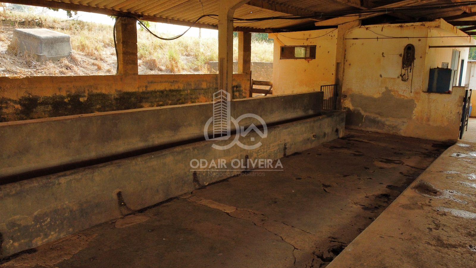 Odair Oliveira Negócios Imobiliários em Passos MG