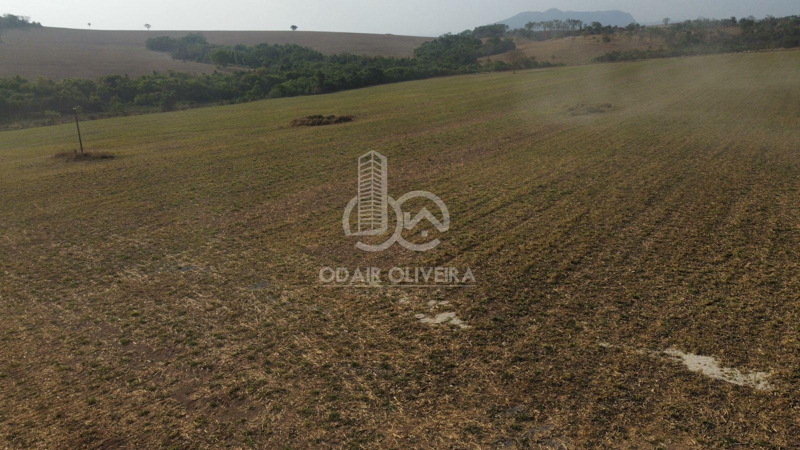 Odair Oliveira Negócios Imobiliários em Passos MG
