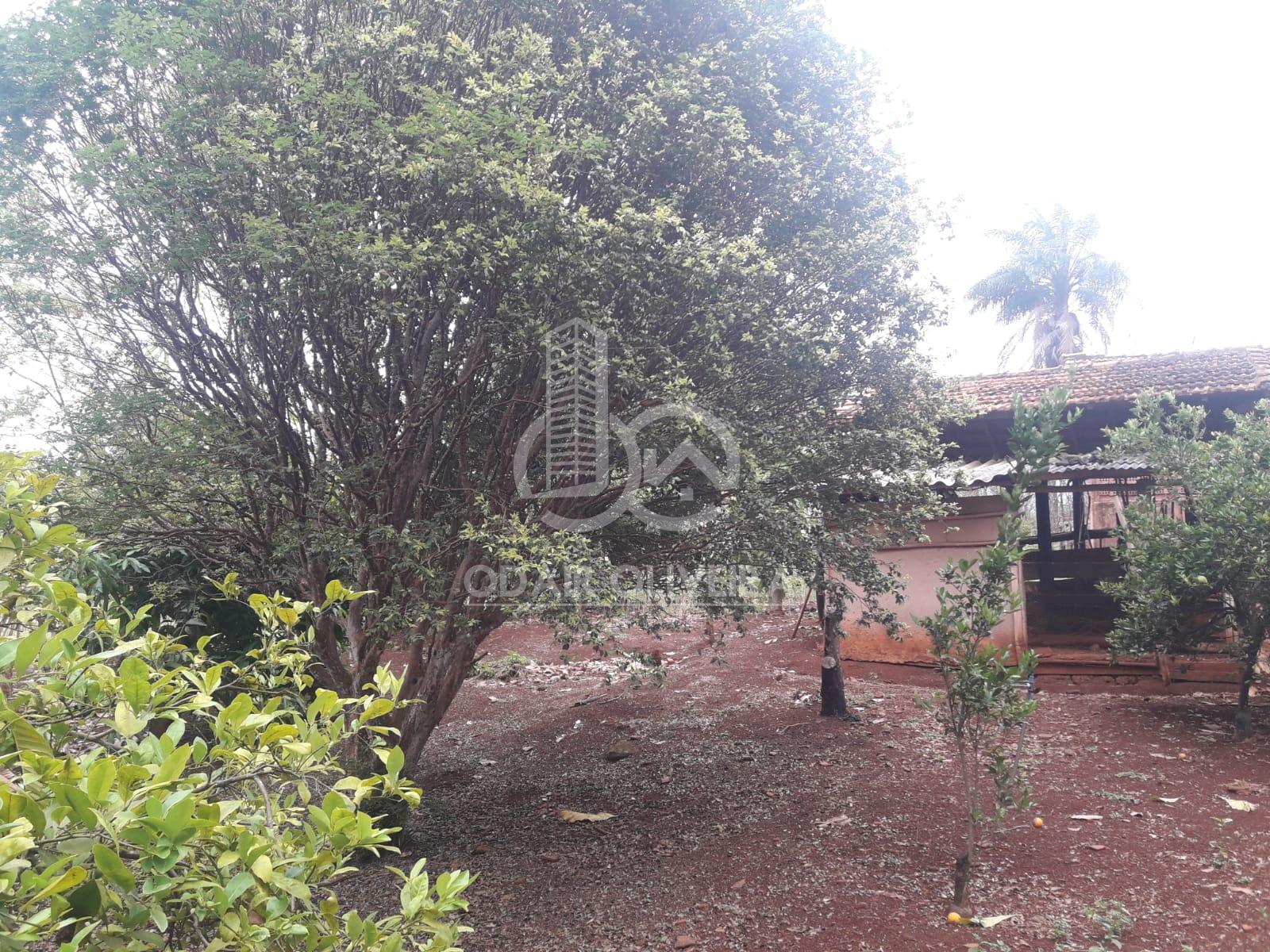 Odair Oliveira Negócios Imobiliários em Passos MG