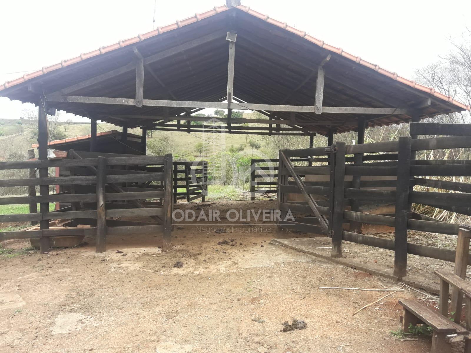 Odair Oliveira Negócios Imobiliários em Passos MG