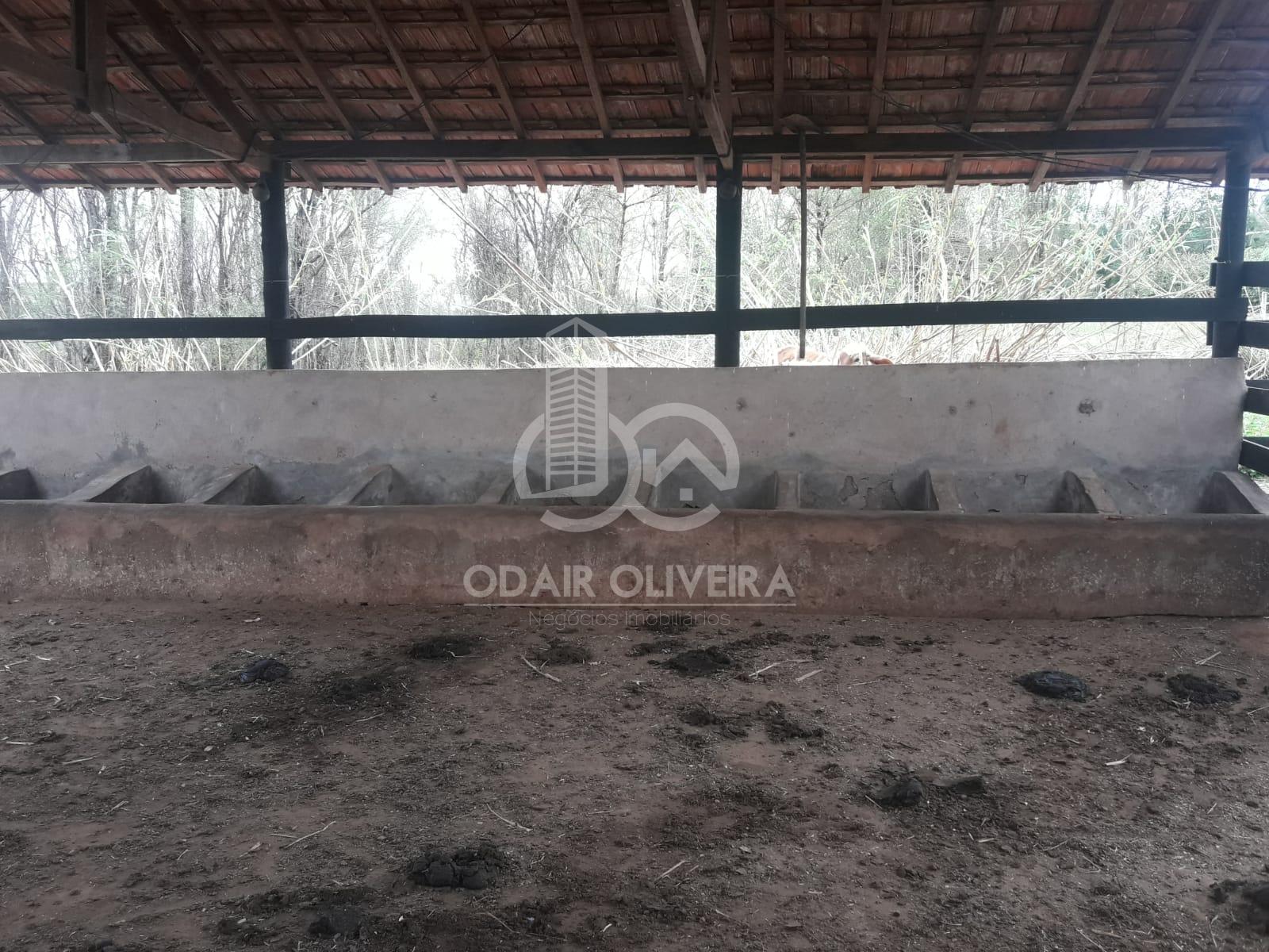Odair Oliveira Negócios Imobiliários em Passos MG