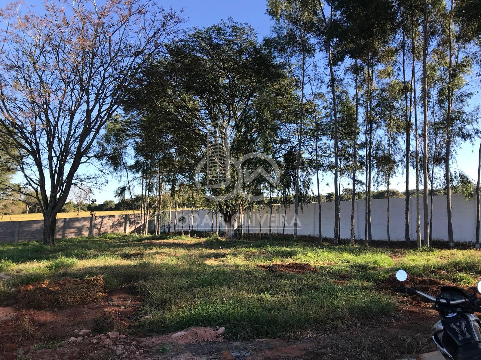 Odair Oliveira Negócios Imobiliários em Passos MG
