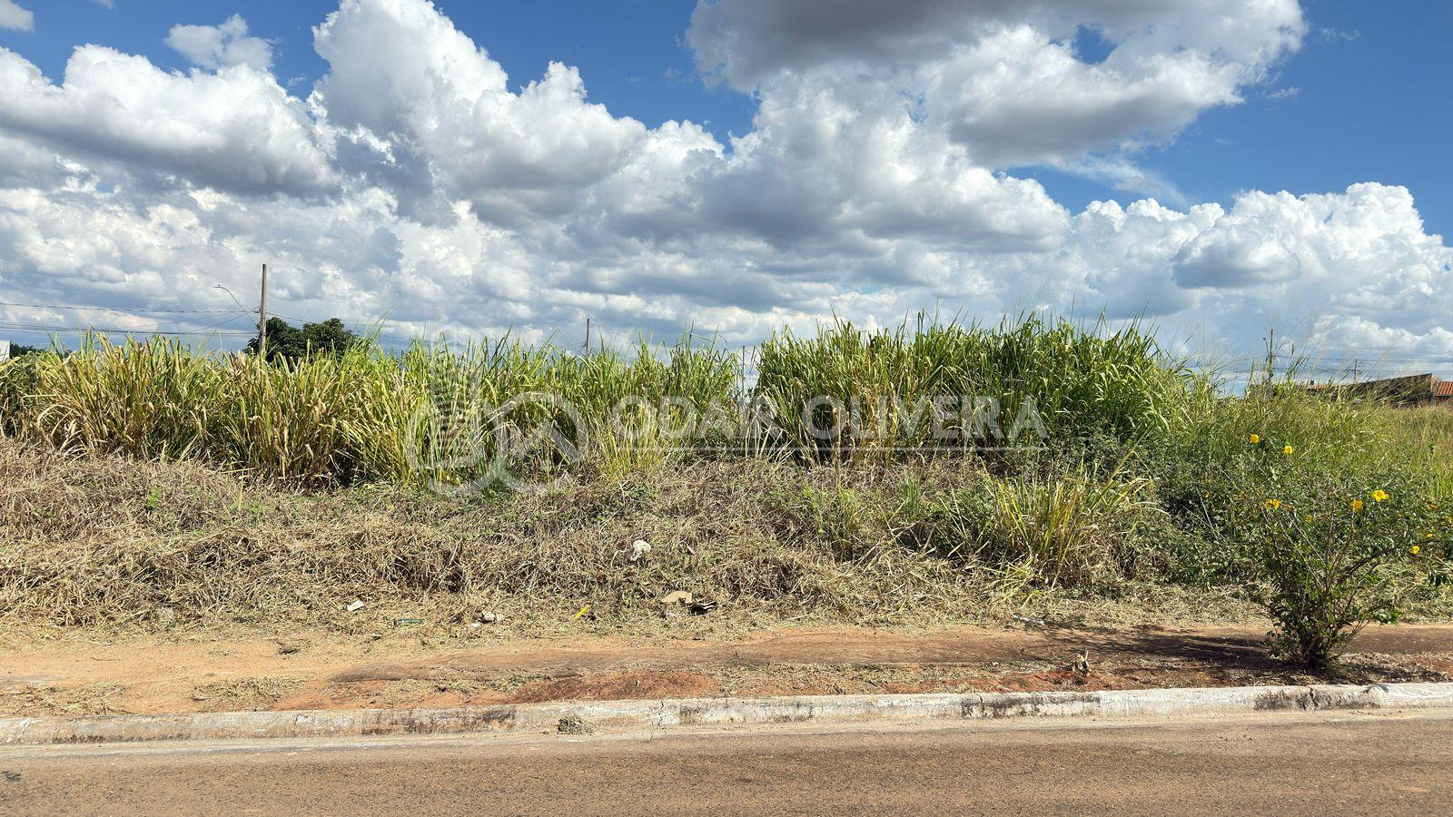 Lote gigante  venda no Nova Passos 1  Passos MG, 442,12m  |