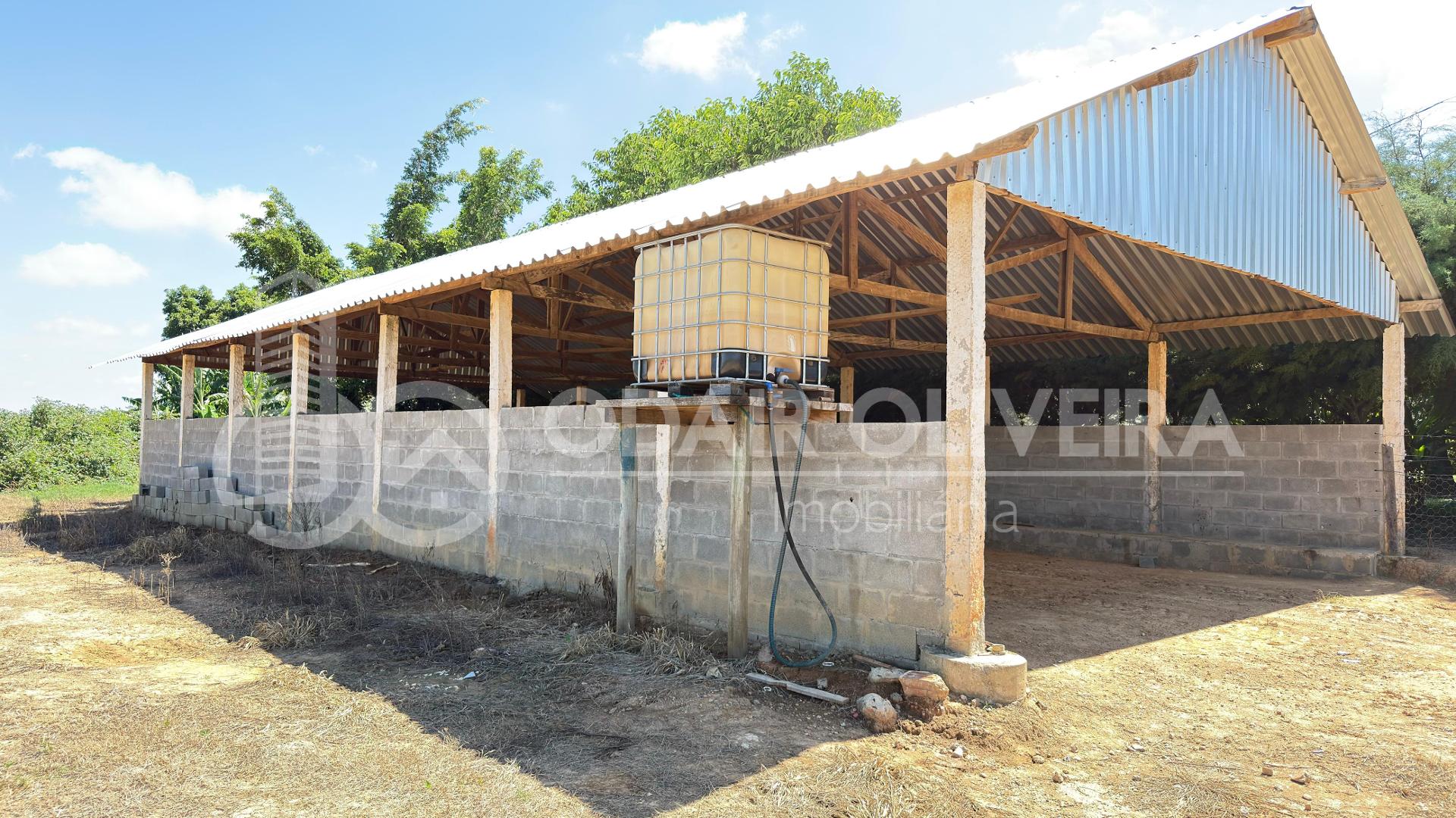 Fazenda  Venda  43 Hectares com Alta Produtividade, Infraestrutura Completa