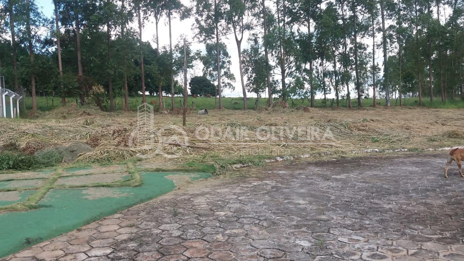 Odair Oliveira Negócios Imobiliários em Passos MG