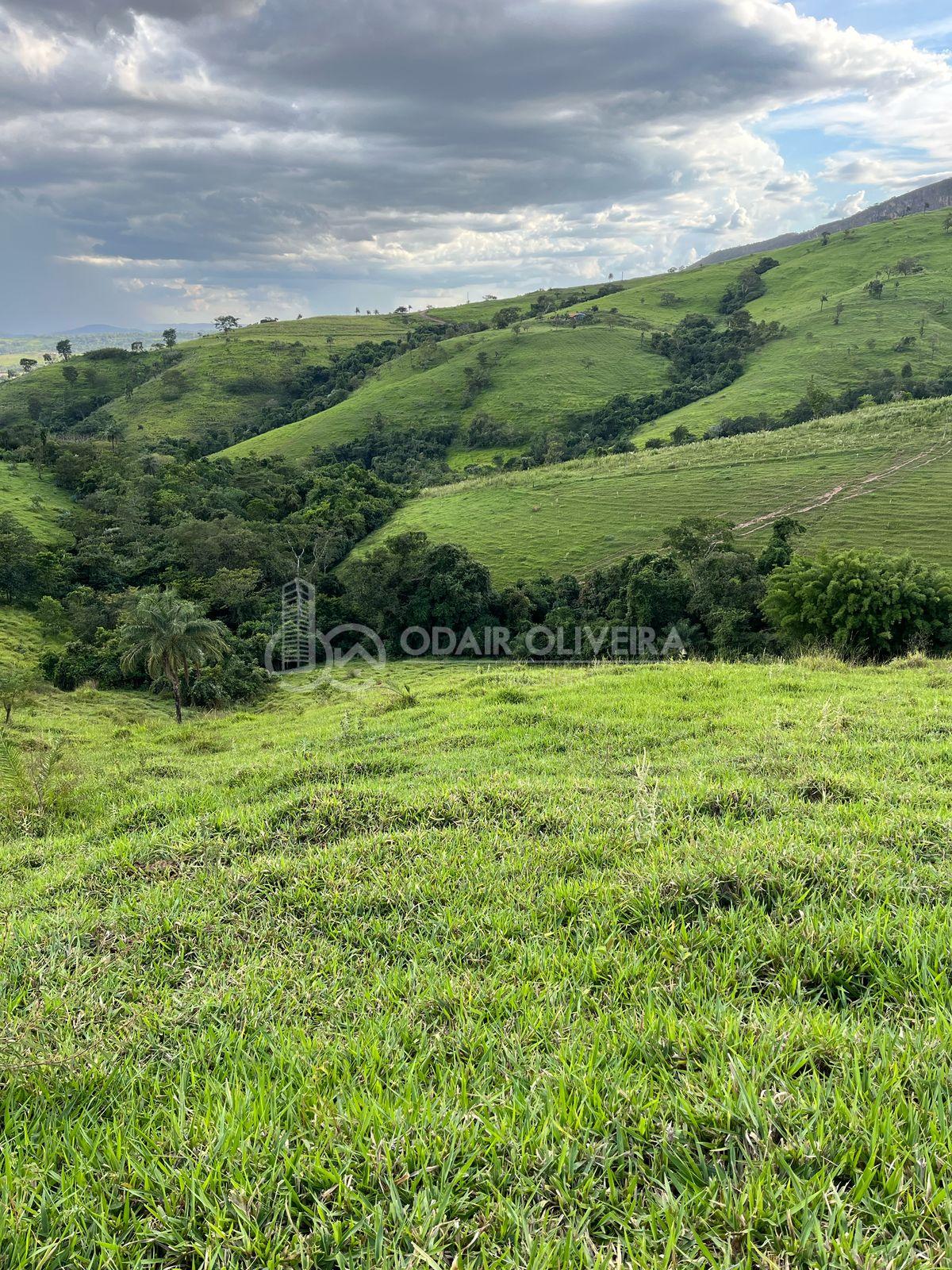 Odair Oliveira Negócios Imobiliários em Passos MG