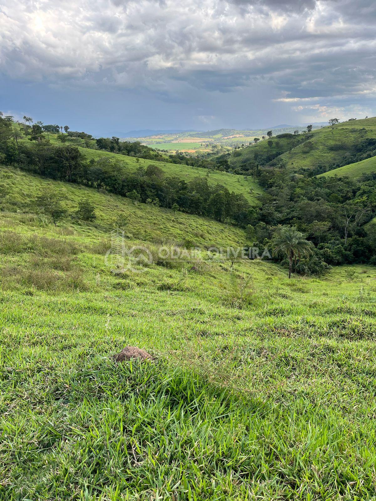 Odair Oliveira Negócios Imobiliários em Passos MG