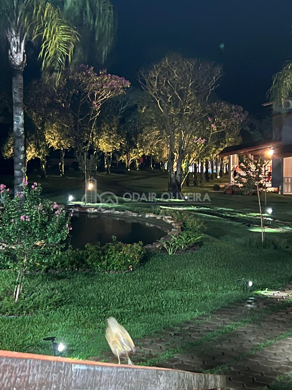 Odair Oliveira Negócios Imobiliários em Passos MG