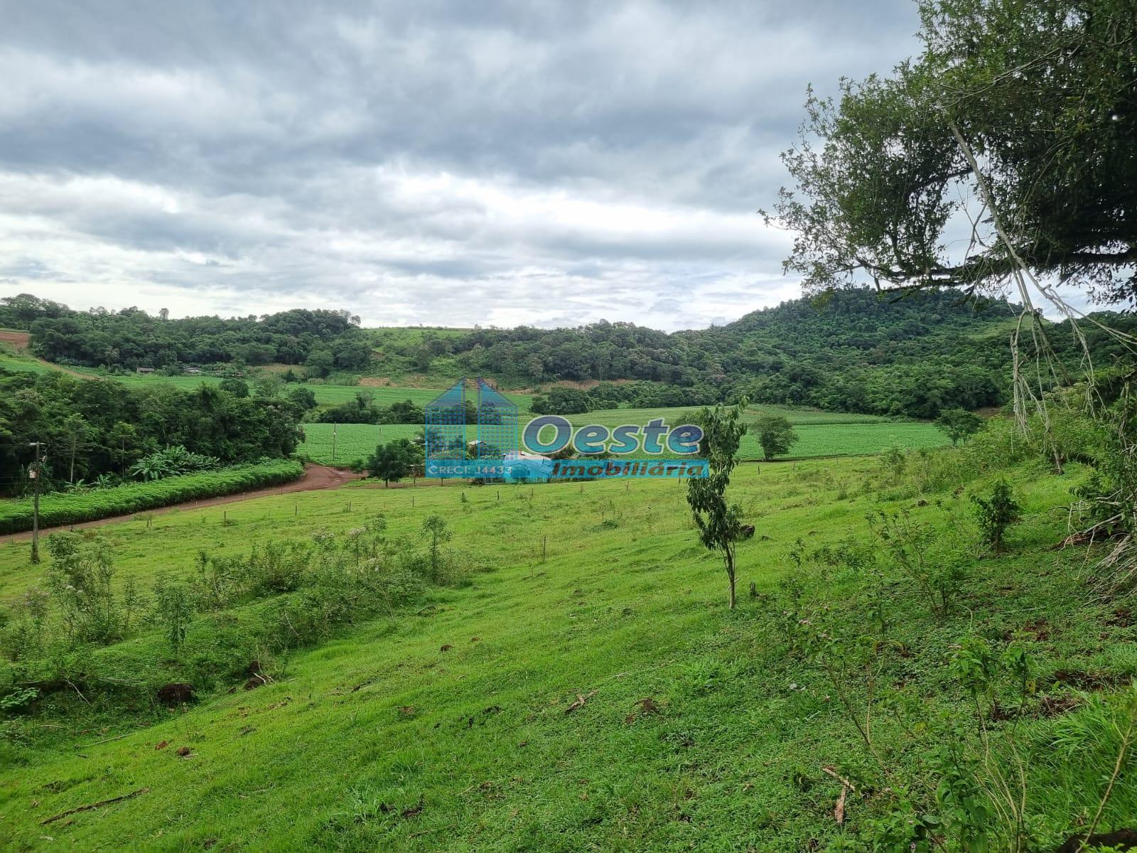 Sítio à venda, Rural, SANTA LUCIA - PR