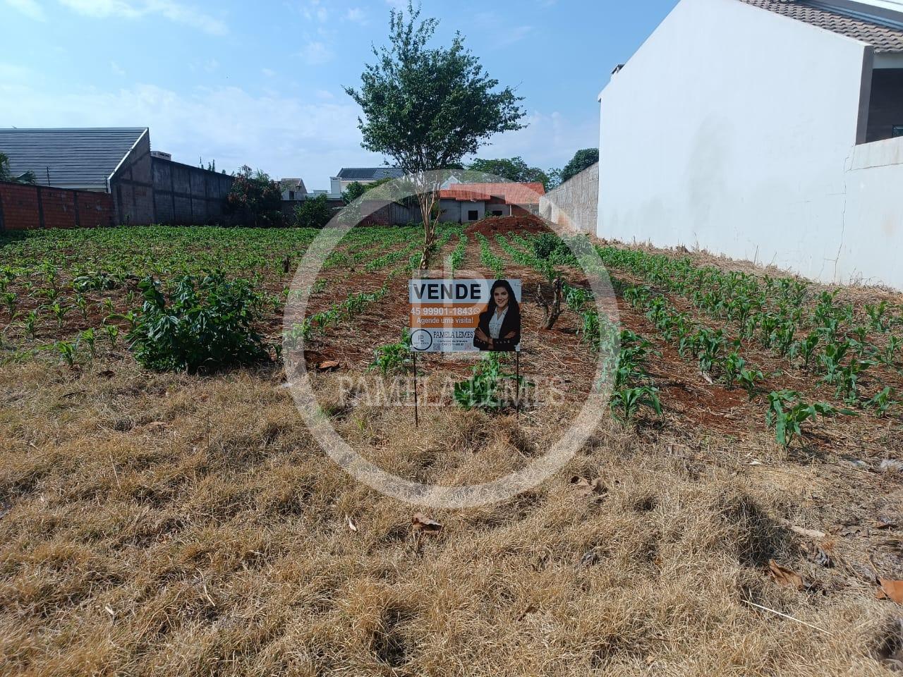 Terreno ? venda na Vila Ga?cha em Marechal C?ndido Rondon