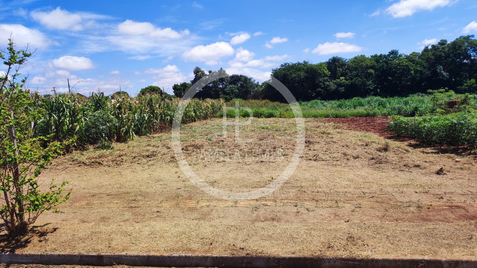 Terreno ? venda, Loteamento Roesler, MARECHAL CANDIDO RONDON - PR