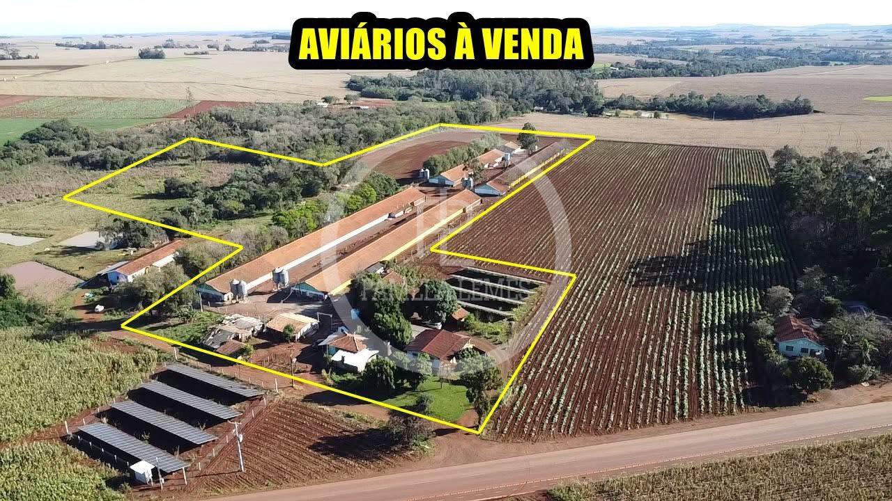 Propriedade Rural ? venda, S?o Roque, SANTA HELENA - PR
