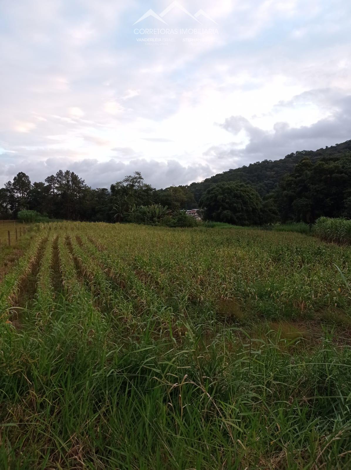 Terreno à venda, TESTO REGA, POMERODE - SC